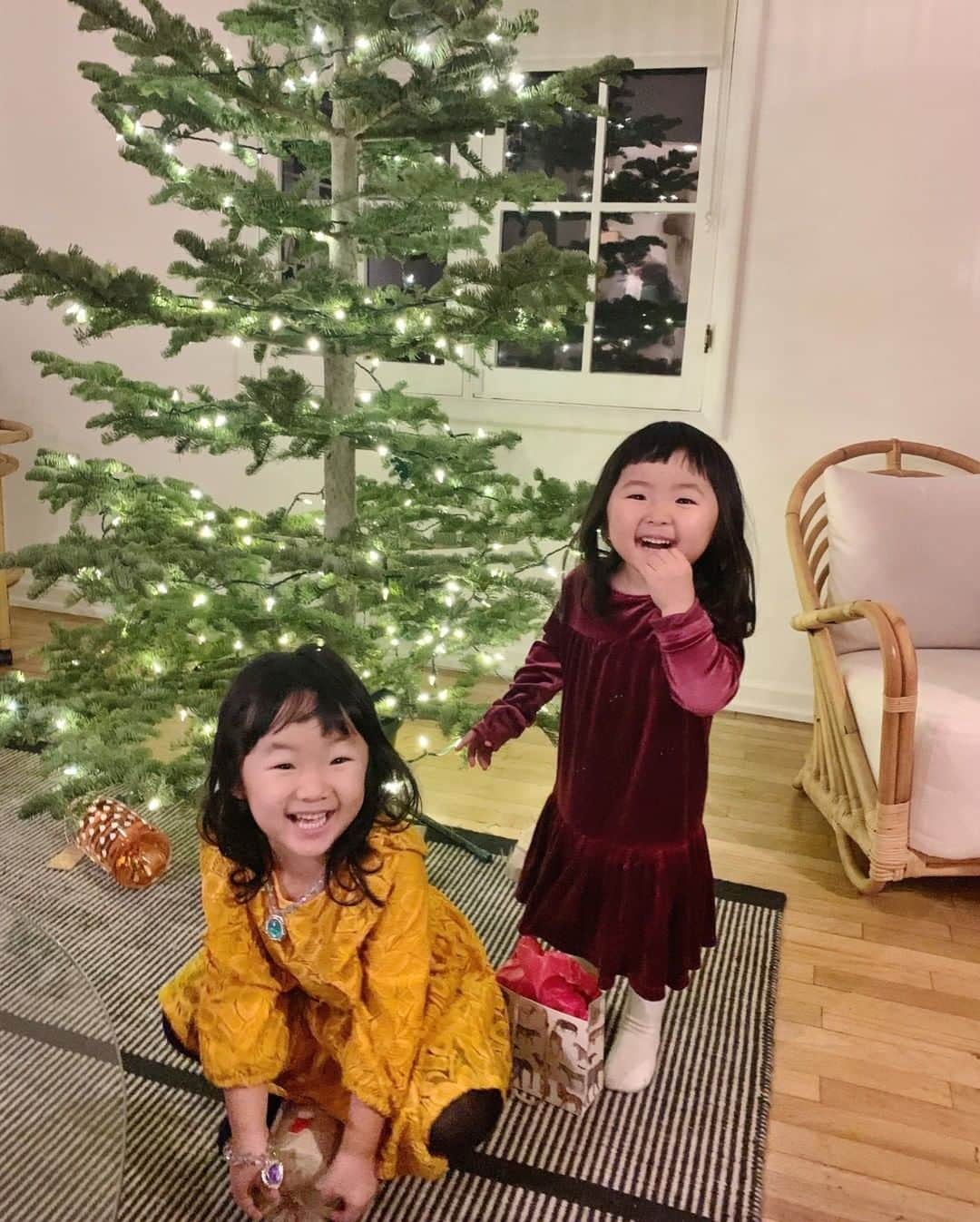 近藤麻理恵さんのインスタグラム写真 - (近藤麻理恵Instagram)「Deck the halls! 🎄」12月22日 6時20分 - mariekondo