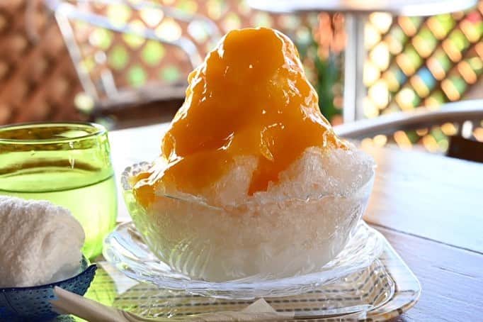 アイスマン福留のグルメインスタ