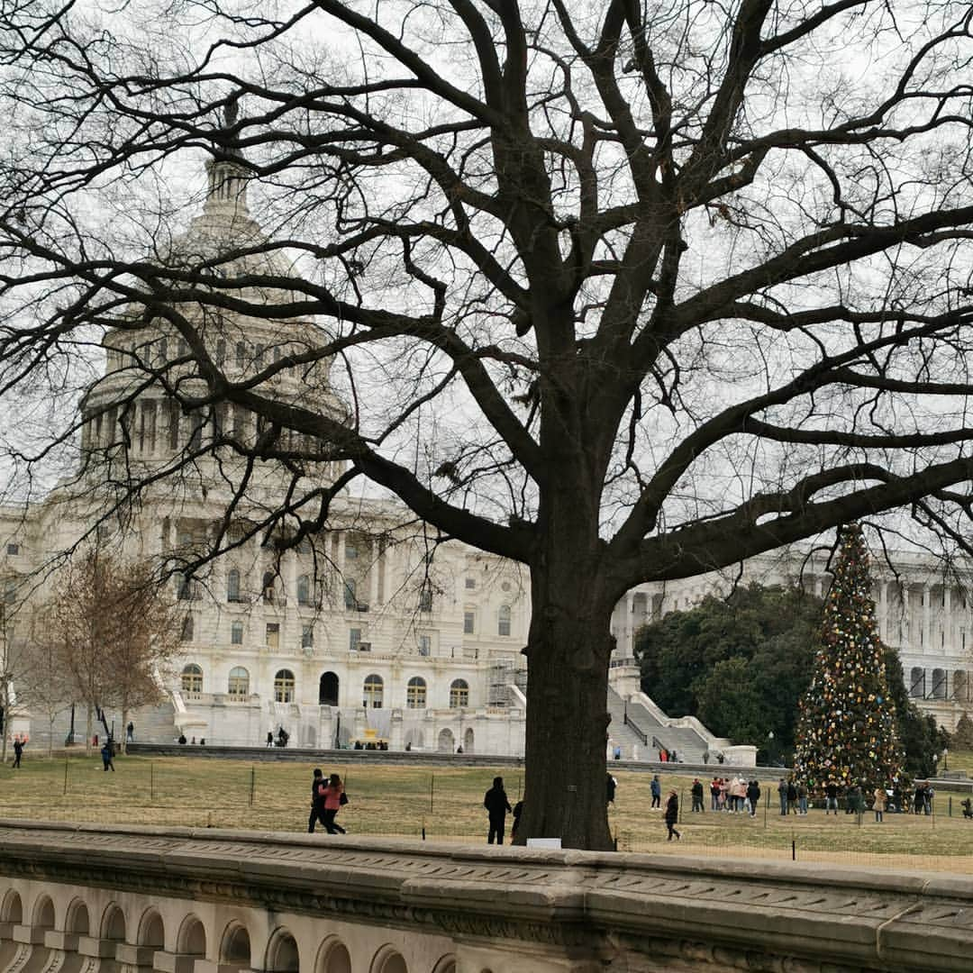 ジャスティン・マッテラさんのインスタグラム写真 - (ジャスティン・マッテラInstagram)「Sleepy Hollow. 🎄 #washingtonirving #thecapitol #architecture #history #patriotism」12月22日 6時58分 - justineelizabethmattera