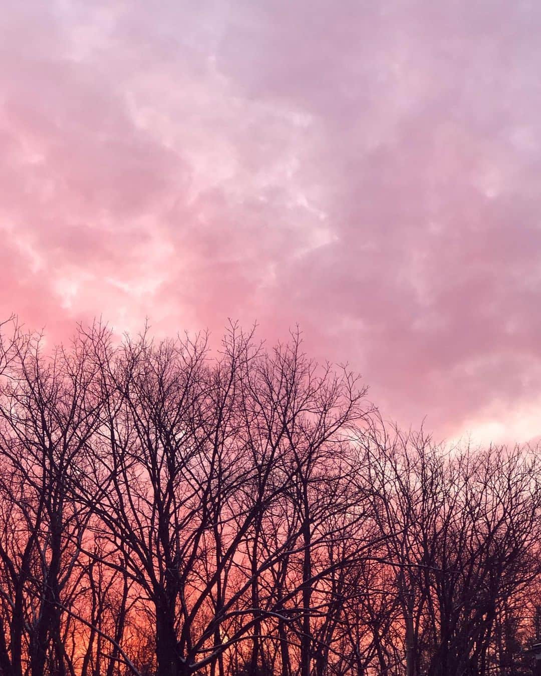Grace Bonneyのインスタグラム：「These winter skies in our backyard are always my favorite ❄️」