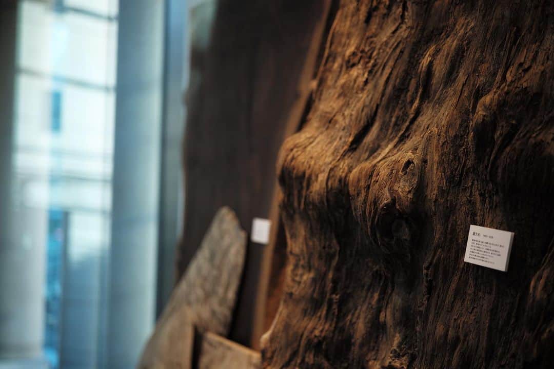 谷尻誠さんのインスタグラム写真 - (谷尻誠Instagram)「Timber crew exhibition @unitedarrows_official Harajuku. #timbercrew」12月22日 9時14分 - tanijirimakoto