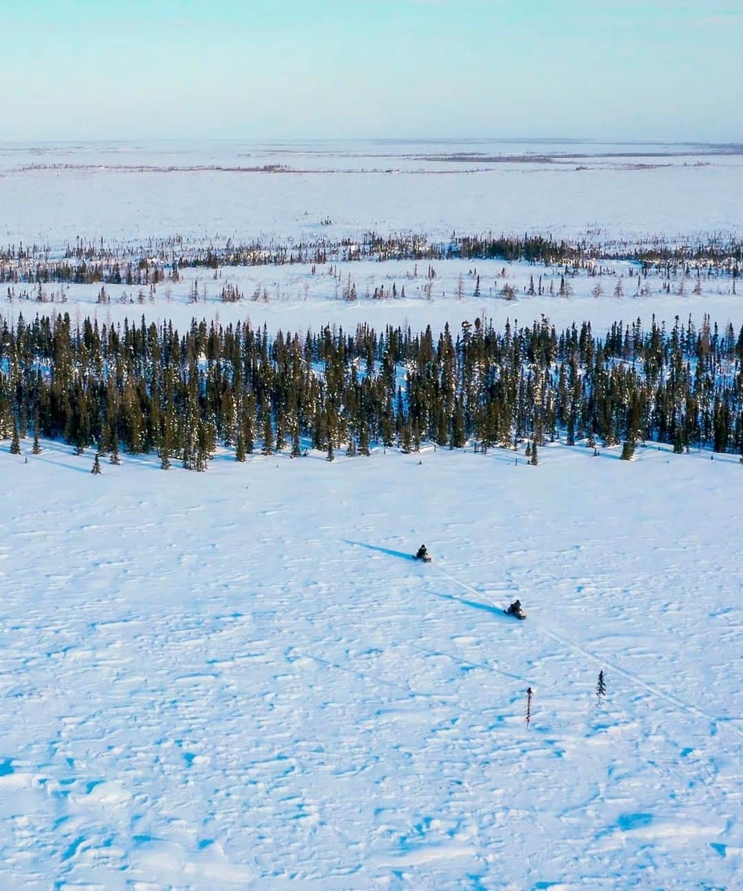 National Geographic Travelさんのインスタグラム写真 - (National Geographic TravelInstagram)「Photo by @bertiegregory | Two snowmobilers set out to look for polar bear dens near Wapusk National Park, Canada. During late winter and early spring, this area is one of the best places on the planet to see female polar bears emerging from their dens with new cubs. Finding them is difficult though, as the denning area is enormous and temperatures are well below zero. Follow @bertiegregory for more wildlife adventures. #travel #cold #snow #polar #canada」12月22日 10時04分 - natgeotravel
