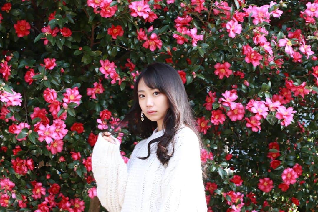 相沢菜々子さんのインスタグラム写真 - (相沢菜々子Instagram)「🌸 #頂いたお写真シリーズ」12月22日 10時22分 - nanako_aizawa
