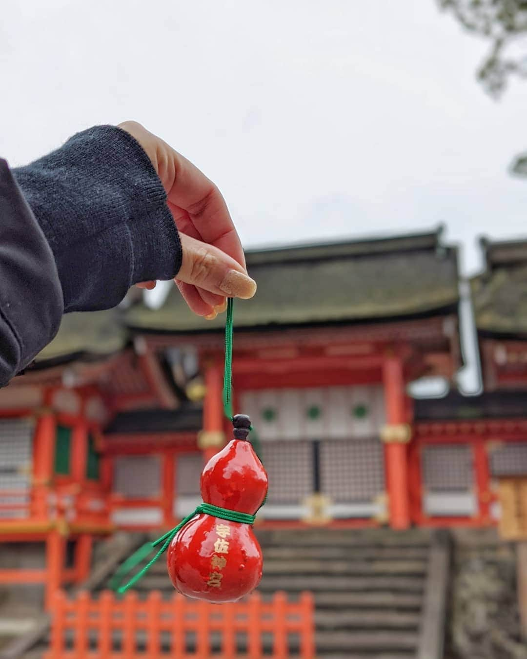 鍋島のぞみさんのインスタグラム写真 - (鍋島のぞみInstagram)「人生2回目の九州 人生初の大分 軽く寄ったつもりがとても満足度高かった #宇佐神宮 美しい境内と可愛い瓢箪絵馬🥜 瓢箪は2つセットになっていて、 大きい方に願い事を書いて絵馬として奉納 （プライバシーも守られる。笑） 小さい方はお守りとして持って帰れるシステム。」12月22日 21時24分 - nozominabeshima