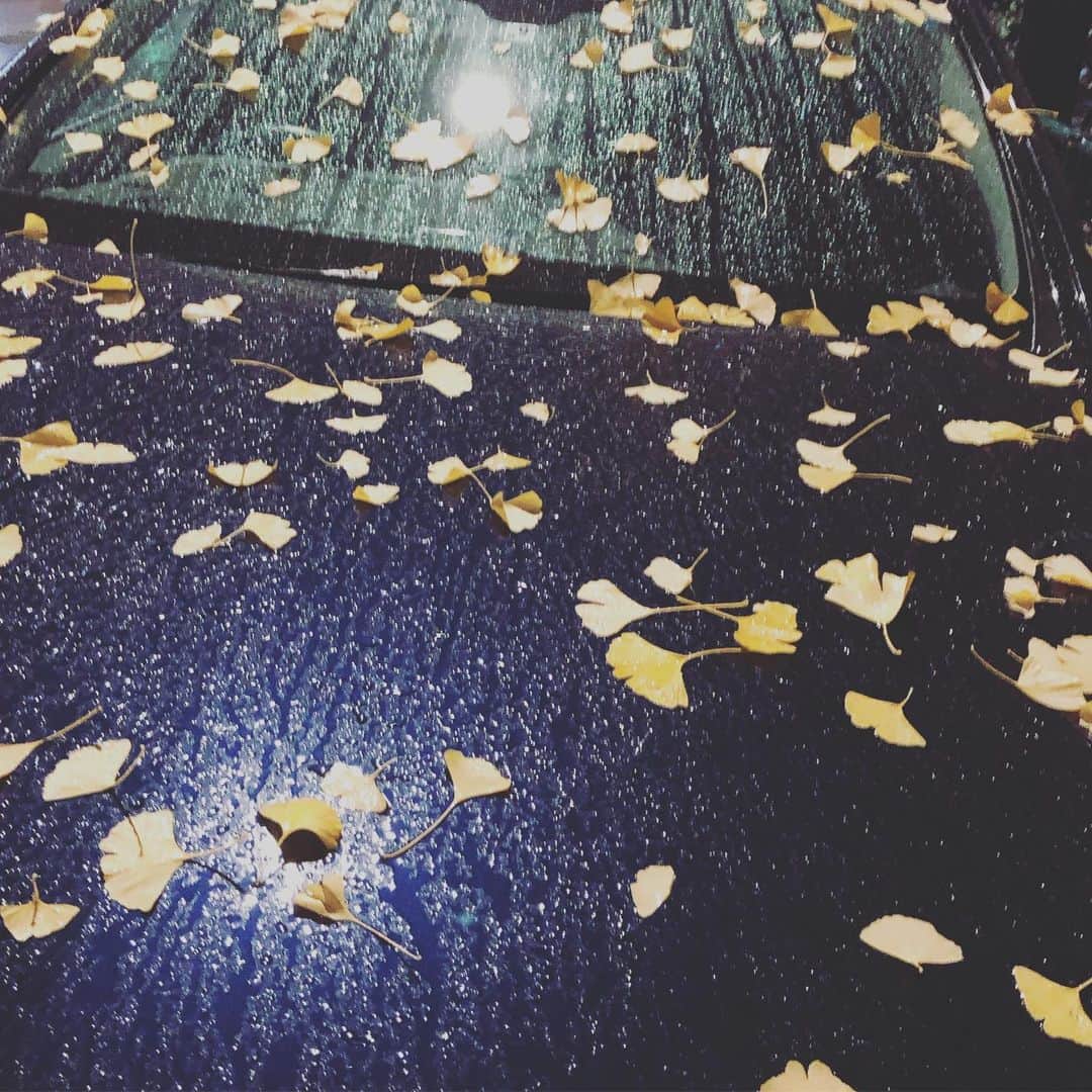 英玲奈さんのインスタグラム写真 - (英玲奈Instagram)「ご飯食べて車に戻ってきたら、 銀杏柄になってたー😆」12月22日 20時08分 - erena_erenyan