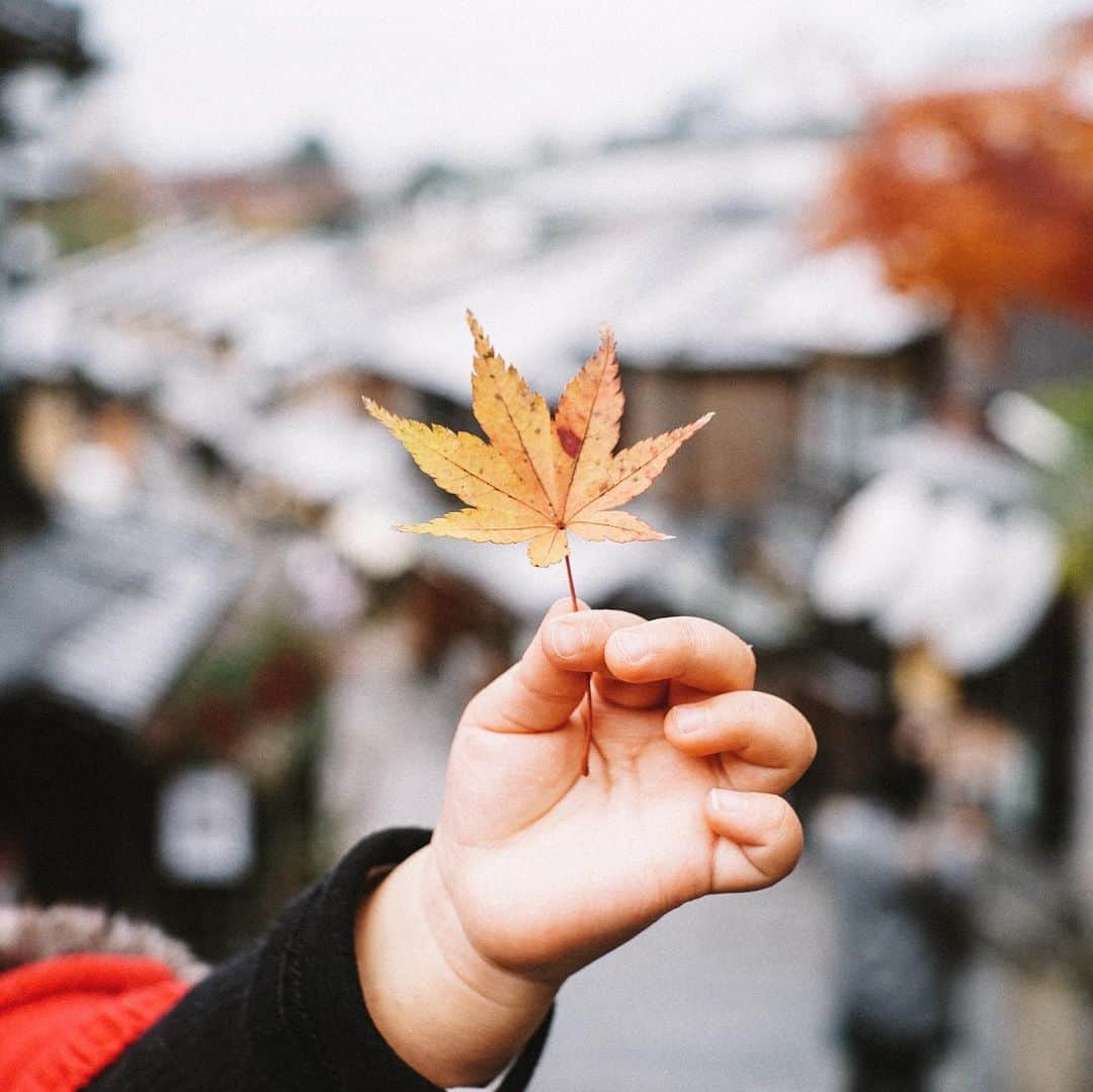 Naokoのインスタグラム：「autumn🍁　#二寧坂 * 最近写真を撮ろうとすると 何か面白いことをしてくれるようになってきた。 私は撮られるの大嫌いな子供だったけど どんな子になるかな〜😁」