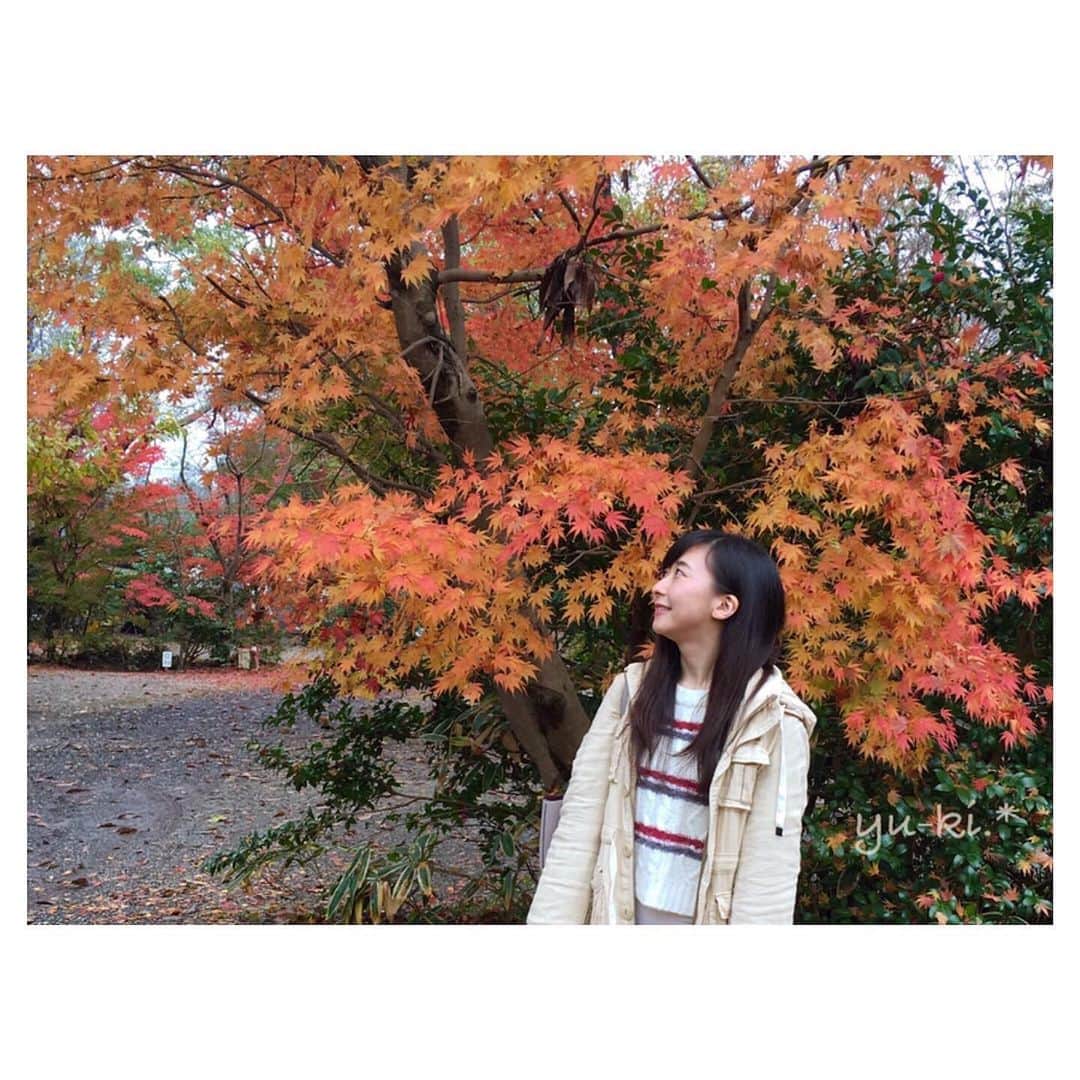 のインスタグラム：「. 綺麗なもみじ🍁 絨毯もできてました☺︎. * . . #autumnleaves #mapleleafs#japaneseautumn #autumnjapan #camp #cameragirl #vivid #紅葉 #もみじ #紅葉の絨毯 #日本の秋 #秋の景色 #キャンプ場 #カメラ女子 #鮮やか」