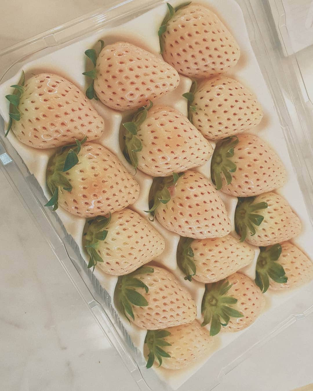 ソユさんのインスタグラム写真 - (ソユInstagram)「만년설 딸기🍓 맛있구먼😍」12月22日 14時14分 - soooo_you