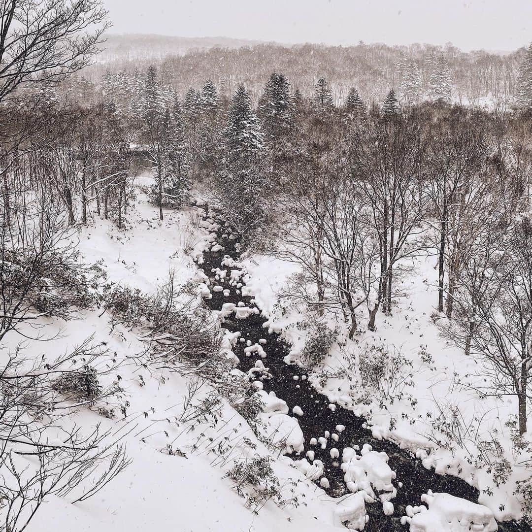 三浦大地のグルメインスタ