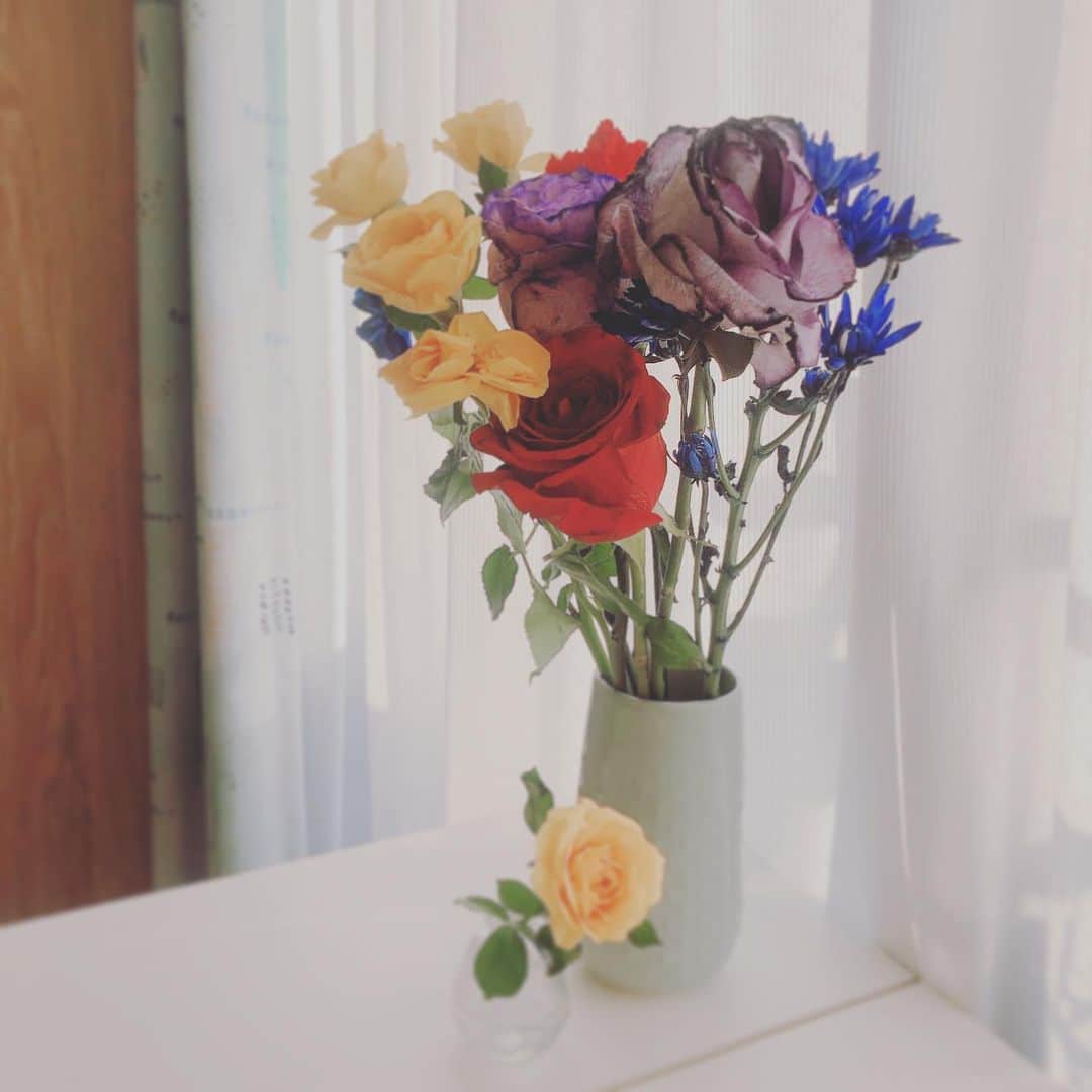 朝日奈丸佳さんのインスタグラム写真 - (朝日奈丸佳Instagram)「ウィンターライブのお花、ありがとうね。ドライフラワーにするよ。 Studyのお花もずっと綺麗に咲いてくれていました！ありがとう。  #花 #花のある暮らし」12月22日 16時41分 - madoka_maru_hina