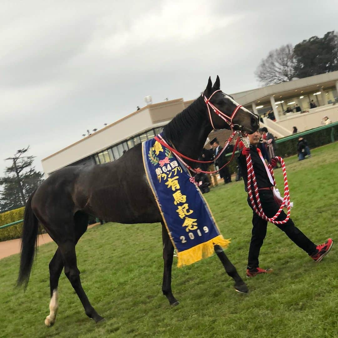 矢作克人さんのインスタグラム写真 - (矢作克人Instagram)「文句なしです。 物凄い勝ちっぷりでした。 応援ありがとうございました✨ #リスグラシュー #有馬記念 + + #うまび #競馬 #競馬予想 #競馬女子 #競馬ファン #競馬好きな人と繋がりたい #UMAJO #馬 #お馬さん + + #horse #horseracing #instagood #instafollow #followme #love #l4l #🏇 #🐎 #🐴」12月22日 16時39分 - keiba_yahagi