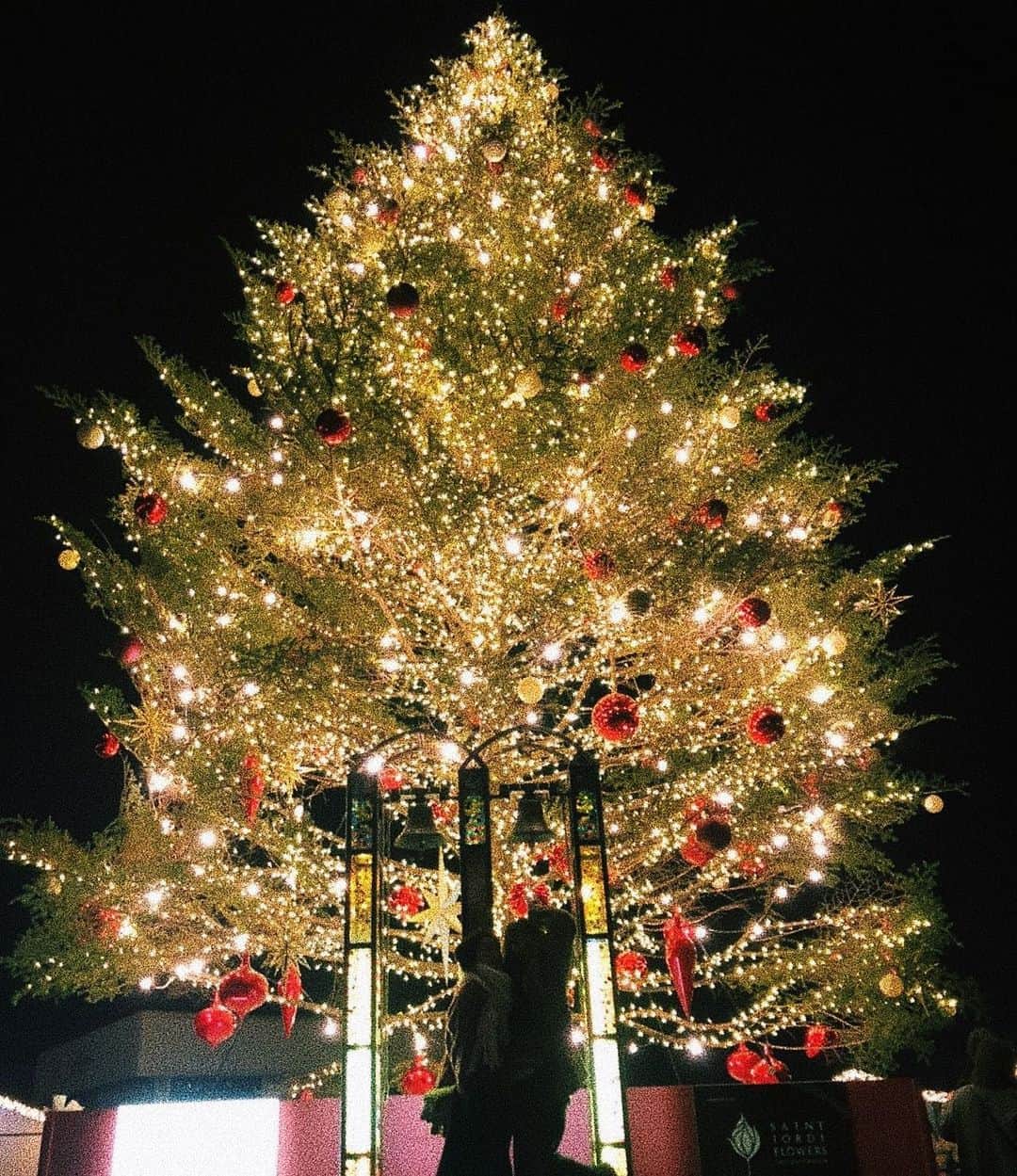 田中優衣さんのインスタグラム写真 - (田中優衣Instagram)「一瞬で暗くなったクリスマスツリー 季節の中で一番冬が好き❄️⛄️」12月22日 16時53分 - heisei_8nen
