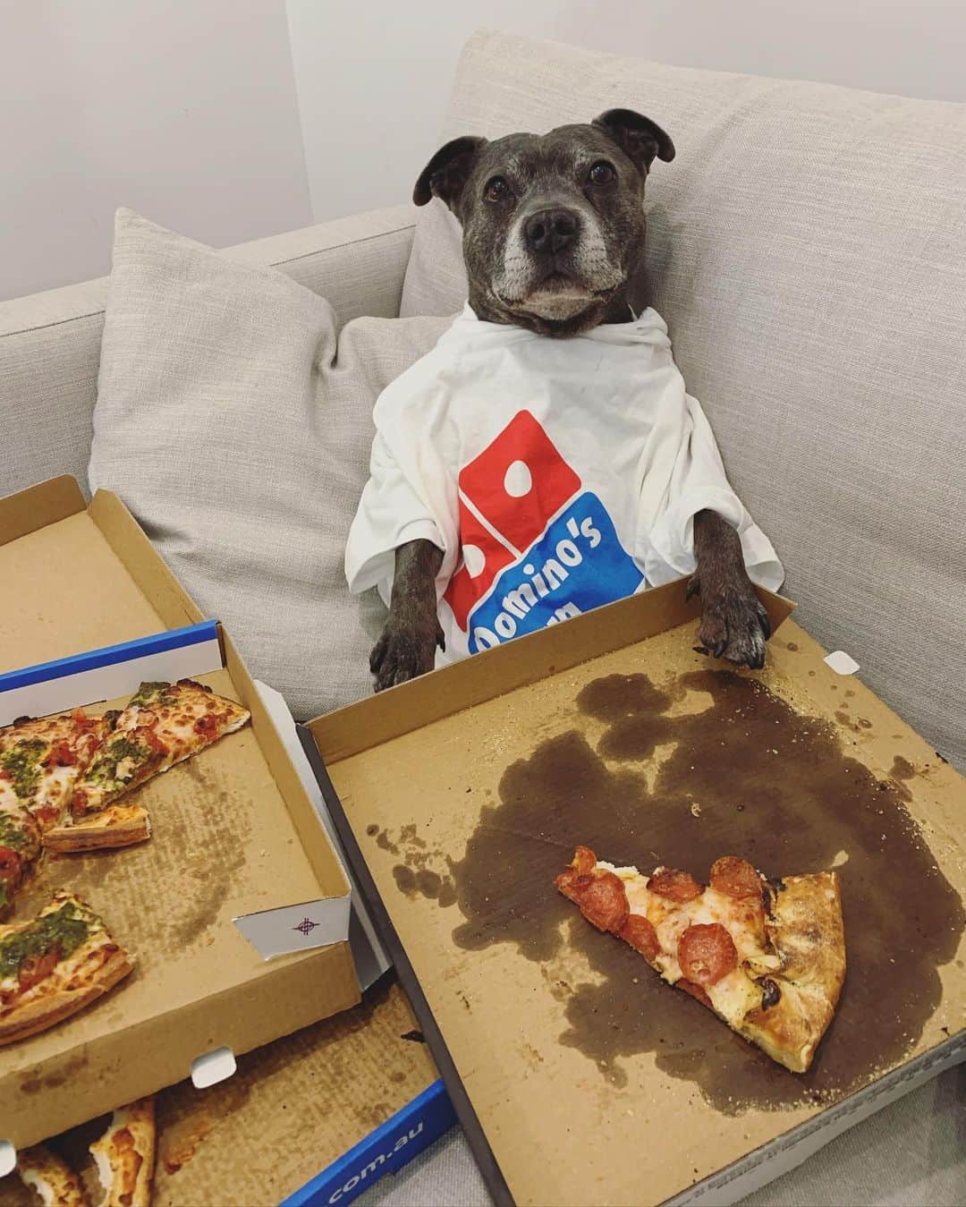 DARREN&PHILLIPさんのインスタグラム写真 - (DARREN&PHILLIPInstagram)「I’ve had to consume a lot of pizza dis month to get dis free T shirt. I really did plan on only eating 5 per day but dey dangled de carrot so 20 large pupperonis a day it was. Super happy w it don’t I look lovely?」12月22日 17時07分 - the_blueboys