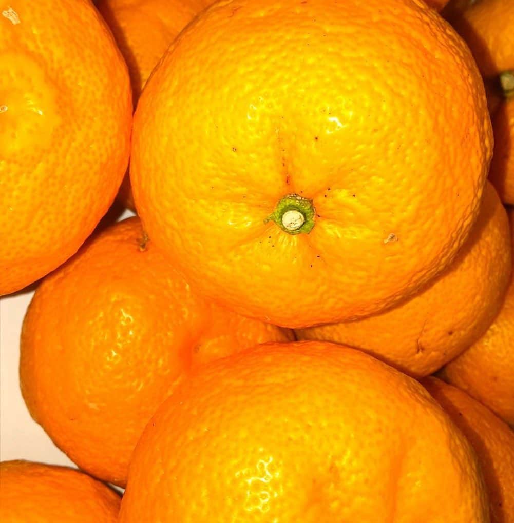 竜泉寺の湯のグルメインスタ