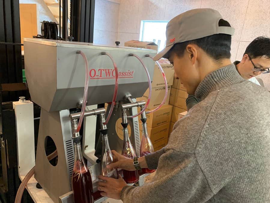 都倉賢のインスタグラム：「ワイン造りの最終工程の瓶詰めをしてきました🍷  そして700本の瓶に感謝の気持ちを込めて全力でサインもさせてもらいました。  まだモノが出来ていないにも関わらず、クラファンでは沢山の支援をしてもらって嬉しい限りです！！！ 今回は瓶内二次発酵をするのでこれから酵母が1ヶ月くらいかけて糖分を食い瓶の中でスパークリングワインが完成します。  3月の発送の時期は完璧な状態を迎えていると思うのでお楽しみに。  このワイン造りの挑戦が色々な景色を見せてくれてます。知らない事が罪だなと。もっともっと都倉賢として成長していけるようにこれからも挑戦していきます👍  あと残すは、ラベル造り…  おっ、お楽しみに！！！ 今日は朝早くからサロンメンバーにも協力してもらいましたよ。夢へのサポート本当に有難うございます🙏🙏🙏」