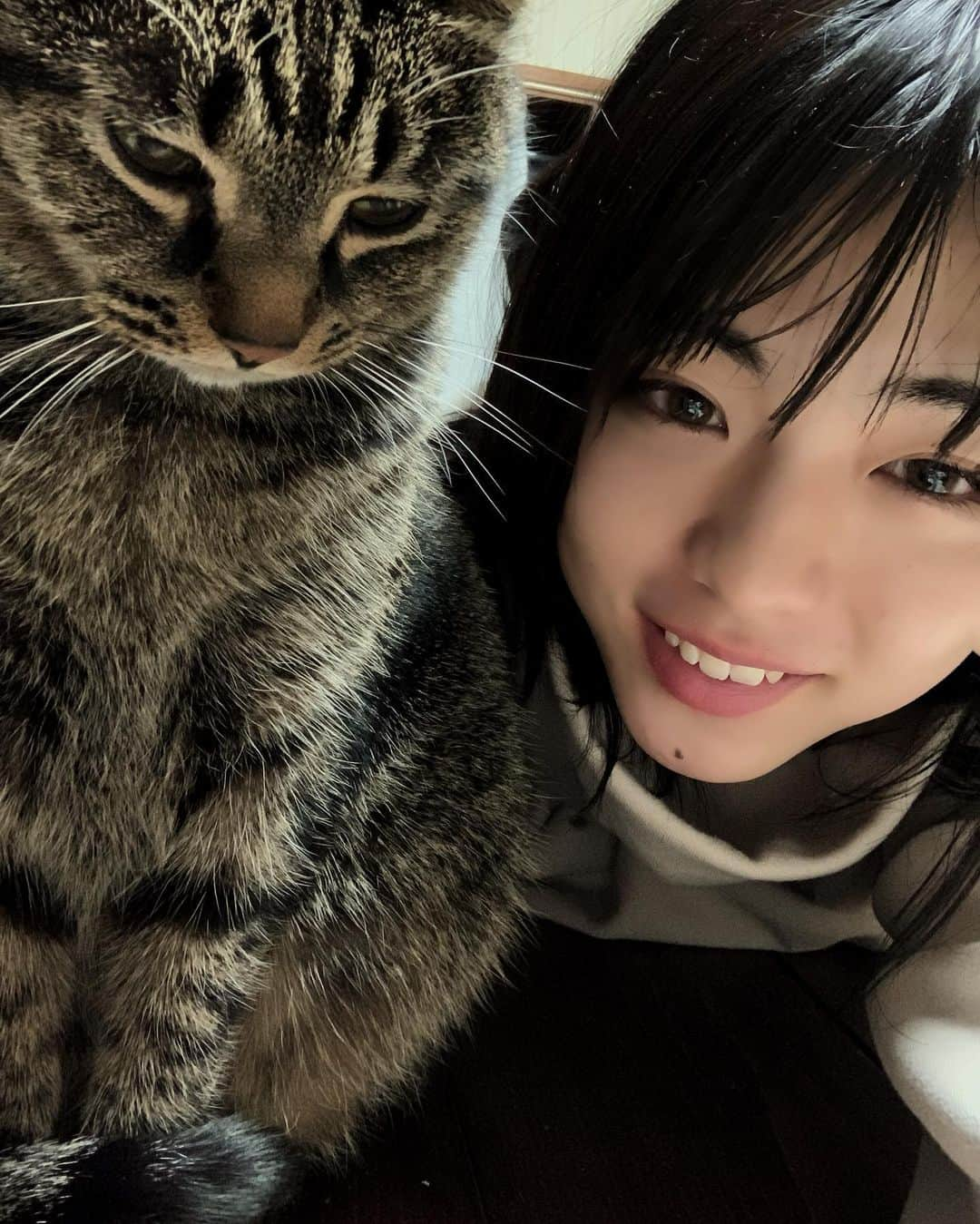 井手上漠さんのインスタグラム写真 - (井手上漠Instagram)「ぐらちゃん笑ってくれない #私は猫アレルギーです #私は猫アレルギーです」12月22日 17時52分 - baaaakuuuu