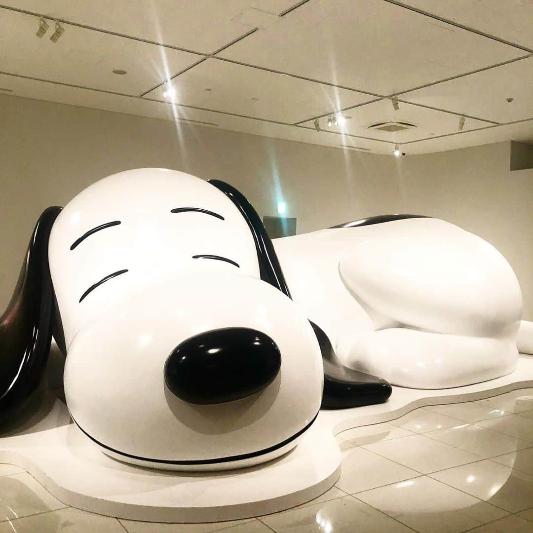 清水あすかさんのインスタグラム写真 - (清水あすかInstagram)「#snoopymuseumtokyo #love #snoopy #大好きなキャラ #スヌーピー  #スヌーピーミュージアム」12月22日 19時32分 - asukahime1015