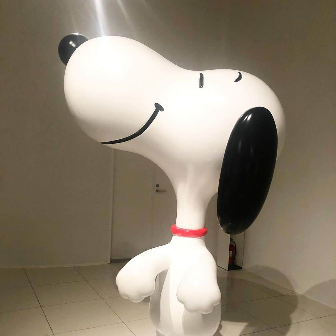 清水あすかさんのインスタグラム写真 - (清水あすかInstagram)「#snoopymuseumtokyo #love #snoopy #大好きなキャラ #スヌーピー  #スヌーピーミュージアム」12月22日 19時32分 - asukahime1015