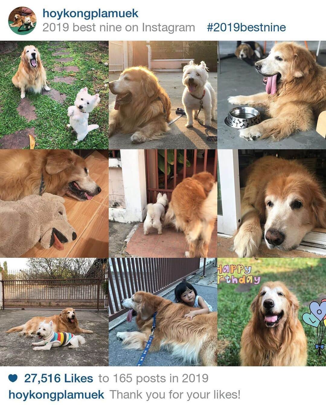 Hoykong&Plamuekのインスタグラム：「Thank you for your ❤️ #bestnine2019」