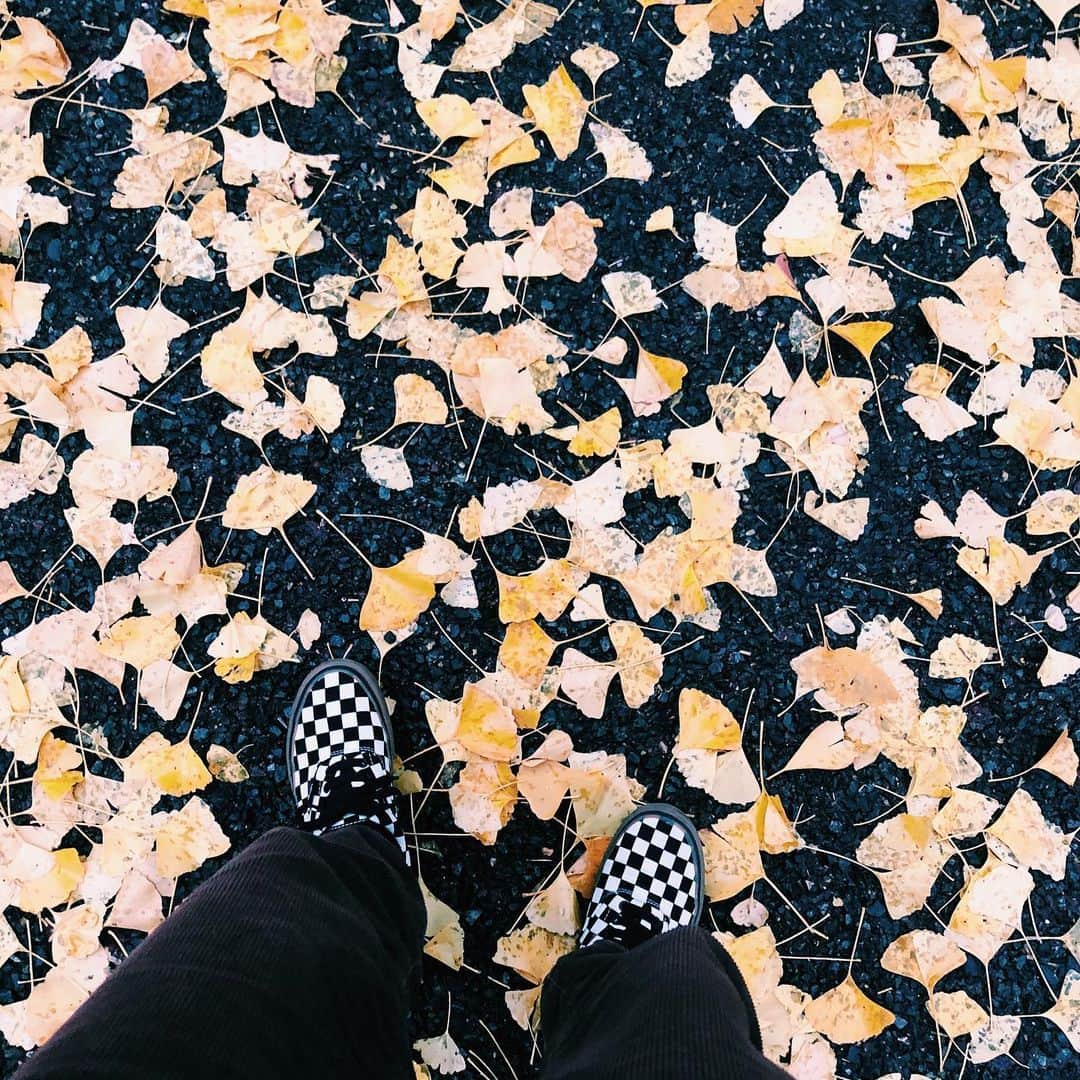 のインスタグラム：「🍂🏁🍂🏁🍂 濡れたイチョウと#vans 2019年ももう終わりますね🌪はやー」