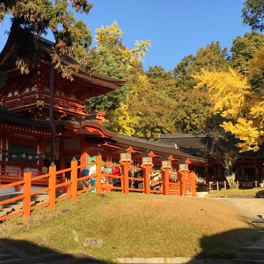 大手小町さんのインスタグラム写真 - (大手小町Instagram)「奈良の春日大社。12月末から刀の展覧会が始まります。大手小町では、来年１月下旬に貸し切り公開を準備中です。お正月のお参りも兼ねてぜひ参加してくださいね。写真は2年前の秋に参拝した時のもの。昼間でも灯籠に灯りがついた状態を見学できるんです。  #otekomachi #大手小町 #奈良観光 #春日大社  #narajapan  #kasugataisha  #古伯耆　 #安綱・古伯耆展 #刀剣女子ではなくても #日本の歴史を学ぶ旅へ」12月22日 19時49分 - otekomachi