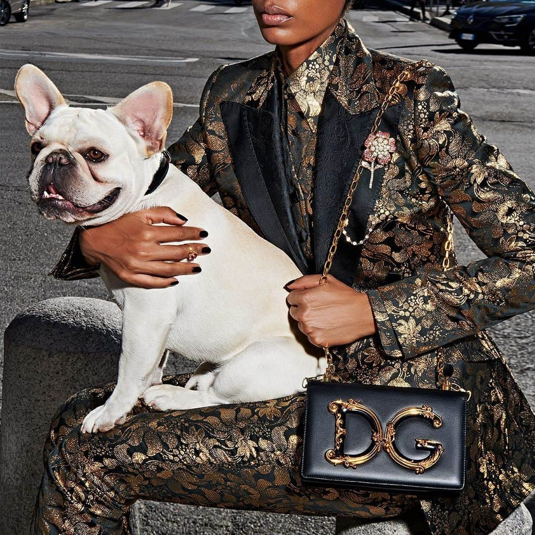 ドルチェ&ガッバーナさんのインスタグラム写真 - (ドルチェ&ガッバーナInstagram)「Enjoying a moment's rest on their way, Rocky and his owner show off their confident elegance. #DGLovesRocky #DolceGabbana #DGGirlsBag」12月23日 5時59分 - dolcegabbana