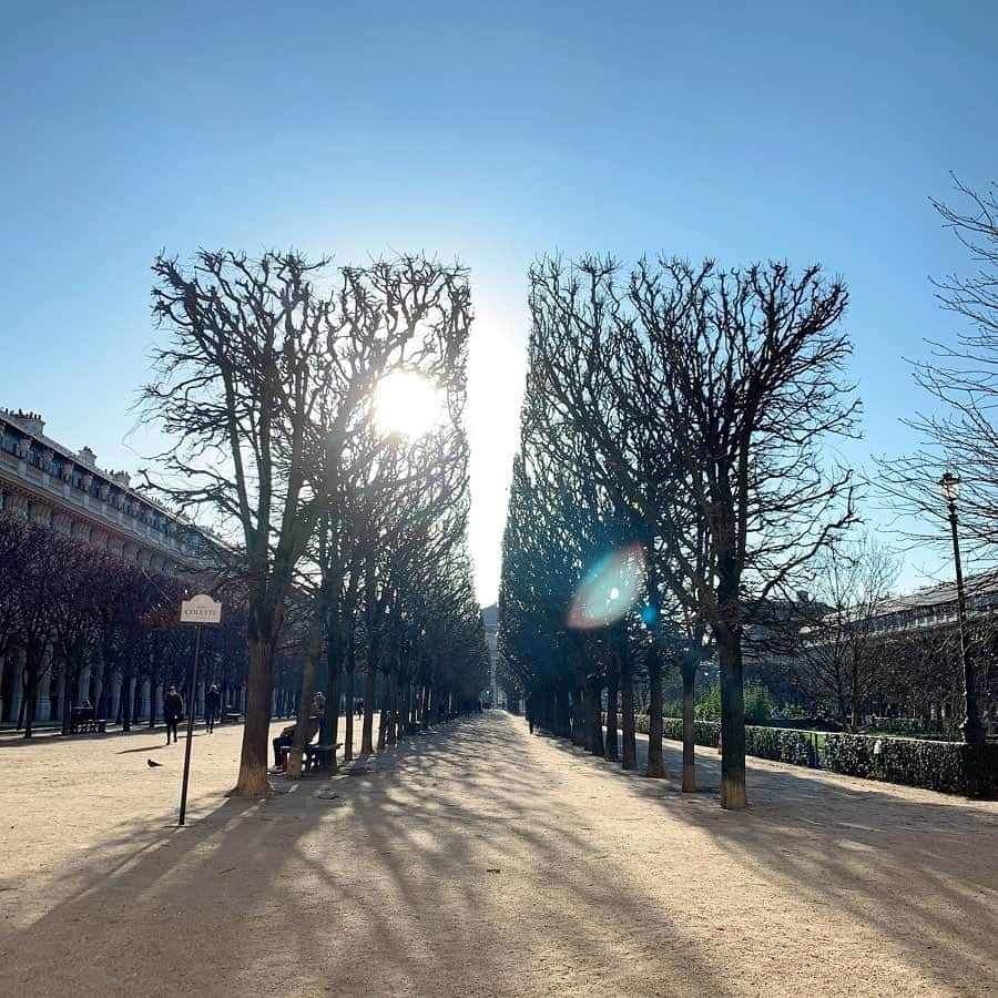 川島幸美さんのインスタグラム写真 - (川島幸美Instagram)「. I'm taking  a walk in the park  while thinking about a  future,  My mind is more clearly.✨✨ . 公園をぶらぶら散歩しながら考えごとすると、 ぼやっとなってた事がクリアになり閃きが降りてくる✨✨✨」12月22日 21時55分 - yukimikawashima