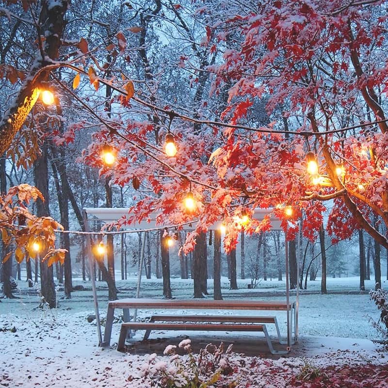 のインスタグラム：「日本最大級の家具・インテリア通販サイト【 FLYMEe 】 ・ ・ #FLYMEe#extremis#countrylivingmag#ideasforhome#christmasiscomming#exteriordesign#exterior_design#modernhouse#residentialdesign#contemporaryhomes#interiorarchitecture#interior_and_living#interior4all #フライミー#エクストレミス#エクステリアガーデン#アウトドアリビング#ガーデンファニチャー#ベンチ#シンプルモダン#シンプルホーム#ガーデンパーティー#エクステリアデザイン#庭のある家#ベルギー」