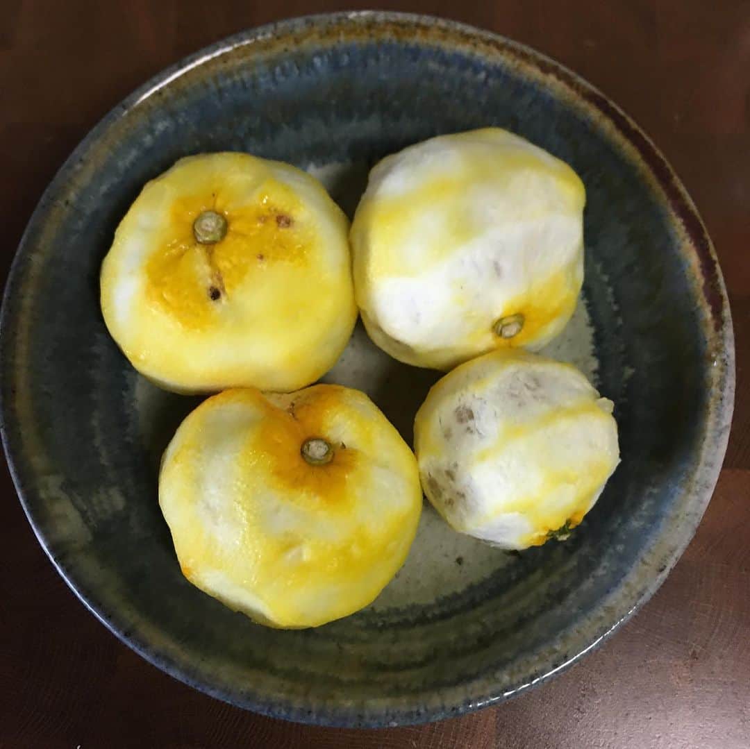 MICHIRUさんのインスタグラム写真 - (MICHIRUInstagram)「The winter solstice.﻿ ﻿ 冬至。﻿ ﻿今夜はゆず湯に入ってかぼちゃ食べます🎃 ﻿ 岡山県ノリランカさんの自然栽培、在来種の可愛い形のひょうたんかぼちゃと柚子。﻿ かぼちゃは小豆と煮てみたよ。 柚子は柚子こしょうを作った時にいただいた柚子でポン酢も作ってみたらどちらも最高に美味しくてびっくり。﻿ 市販のものとまったく別モノの美味しさに感動✨✨﻿ 最近は味噌、ぬか漬けを始め手作りものにハマってます。 .﻿ 柚子湯は運を呼び込む前に厄払いするための禊だそう。﻿ 柚子の葉っぱってよく見ると可愛い♡ . 今夜はゆったり😌 . ﻿ #冬至　#柚子　#ひょうたん南瓜　#手作り柚子ぽん　﻿#ノリランカ農園 ﻿﻿ ﻿ ﻿#cometoさんのハンドメイドお盆」12月22日 22時10分 - barbiemichiru