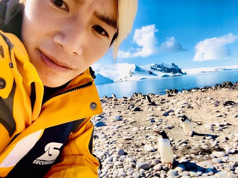ジョーブログさんのインスタグラム写真 - (ジョーブログInstagram)「南極上陸と共に初めて見た野生のペンギンにマジで興奮した！！🐧 よちよち歩きで可愛すぎで一匹持って帰りたいくらいやったけど見過ぎで美味しそうにも思えてきた🤣 一応、鳥やから食えるよな？笑 ただ南極では南極条約といって南極の自然環境を守る厳しい規律の元、ペンギンには5m以上近づいてはいけないらしい。 でも、ばり近寄ってくるんやけどどうしよ笑  あと一言だけ言う。人生一度きりやで👍  早速、帰ったら忘年会&南極報告会を大阪、東京でやるから来てちょ👍 「12月28日東京、31日大阪にて詳細はここ↓ https://ontheroad102.thebase.in/items/25274880  #南極 #ペンギンにレディゴーのタグ付けしといたからフォローして🤣 #ジョーブログ  #レディゴー #地球で遊ぼう #YouTuber #ユーチューバー  #backpacker  #バックパッカー #旅人 #世界一周 #日本一周 #海外旅行 #travel #トラベル #旅スタグラム #旅好きな人と繋がりたい #travelgram #世界の絶景 #フォロー歓迎 #フォロー募集  #いいね返し #コメント返し #コメント大歓迎」12月22日 22時18分 - joeanddream