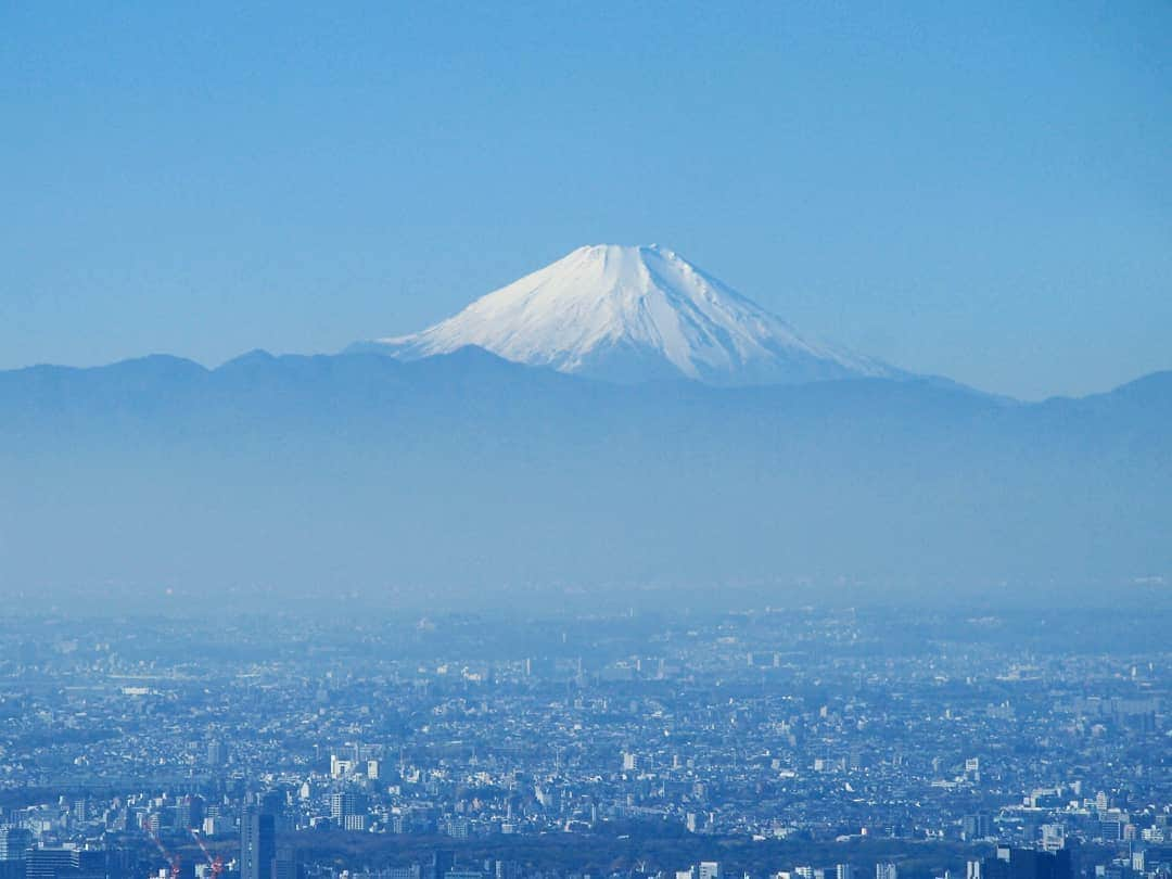 和田益典のインスタグラム