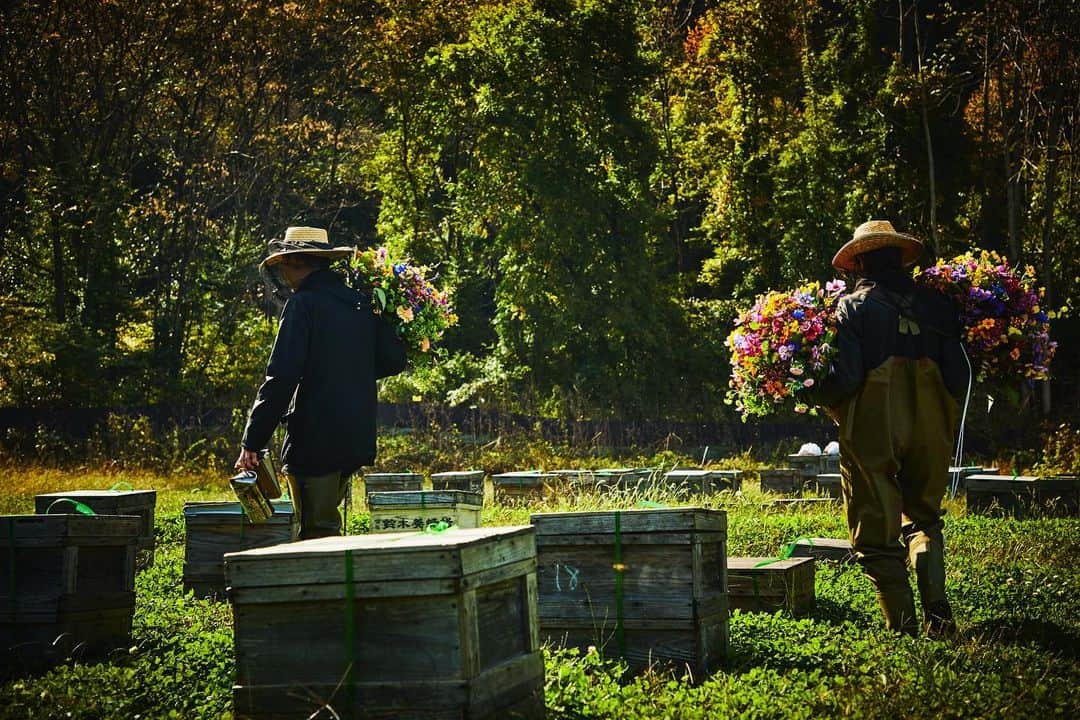 椎木俊介のインスタグラム：「FLOWER AND MAN - Beekeeper -  #azumamakoto #shiinokishunsuke #amkk #amkkproject #flowerandman #flowers #flowerart #東信 #東信花樹研究所 #makotoazuma #beekeeper #beekeeping」
