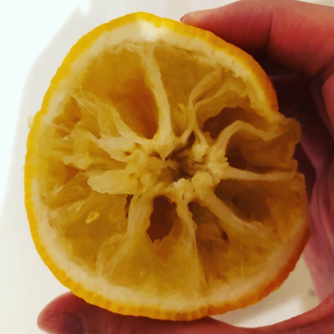 のインスタグラム：「本日は冬至ですね。 . . 利直初めての冬至の為、 柚子風呂にしたけど、、、 柚子噛んでたらしい。 . . 母ちゃん次にお風呂入ったら、おかげさまで柚子が凄い散乱してたよ。。。 最後はドジョウスクイの様に母ちゃん裸でザル持ってえんやこらさっさww 柚子の回収です💦 . あ‼️ 南瓜食べさせるの忘れちゃった🎃💦 . 寮生活のとき、寮パパが冬至に柚子を大量にお風呂に入れてくれたのを毎年思い出す。 お風呂に入った瞬間に ふぁ〜✨ って柚子の高貴な香りが癒してくれたなぁ~ . 寮パパたち3人元気かな？ . 冬至になると、寮パパを思い出すのでした👴👴👴 . . . #冬至 #柚子風呂 #あったまった♨️」