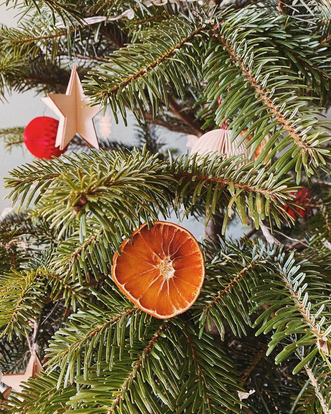 STIL IN BERLINのインスタグラム：「Never had my own Christmas tree, also because the whole chopping 10 year old trees to dump them 3 weeks later really annoys me. When @wundertree.co offered one of their left-overs to stay with me over the holidays I had to improvise with decorations. Dried oranges, paper and wooden ornaments it is. I’m trying to take really good care of this tree, because it’s gonna be picked up beginning of January and taken back to the forest. So I need to make sure it stays strong and healthy during its time with me. There are thankfully a couple new businesses offering rental trees and you can often already pre-order yours for next year. Happy Holidays! / Anzeige」