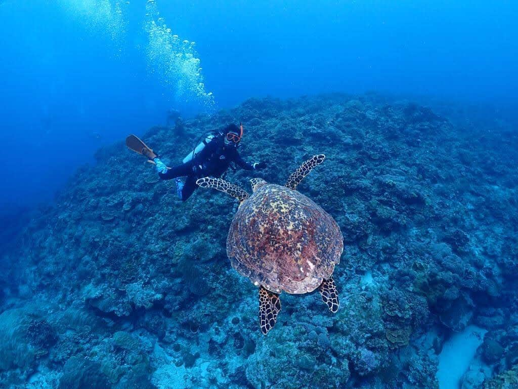 黒岩唯一のインスタグラム