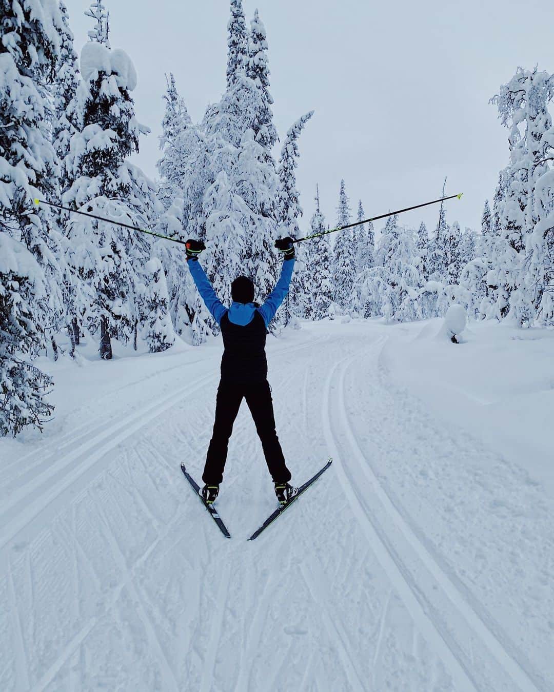 ラウラ・レピストのインスタグラム：「Tais hiipiä se joulurauha täältä luonnosta vihdoin myös tähän vähän levottomampaankin mieleen.🤪 Oot sitten valkoisen, mustan tai vihreän luonnon ympäröimänä, mee sinne!💙❄️ . . . . @visityllas @visitlapland @protectourwinters #ylläs #äkäslompolo #luonto #joulurauha」