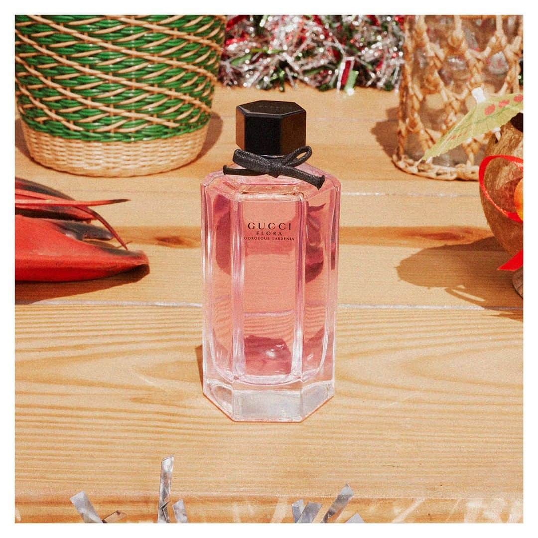 グッチさんのインスタグラム写真 - (グッチInstagram)「Fragrances from #GucciGift include the collection of #GucciBloom scents and #GucciFlora Gorgeous Gardenia—a feminine scent comprised of notes of Red Berries, White Gardenia, Patchouli and Brown Sugar—by @alessandro_michele. @guccibeauty #AlessandroMichele #AcquaDiFiori #NettareDiFiori #AmbrosiaDiFiori #GucciBeauty #InBloom Discover more through link in bio. Photography by @antongottlob」12月23日 2時00分 - gucci