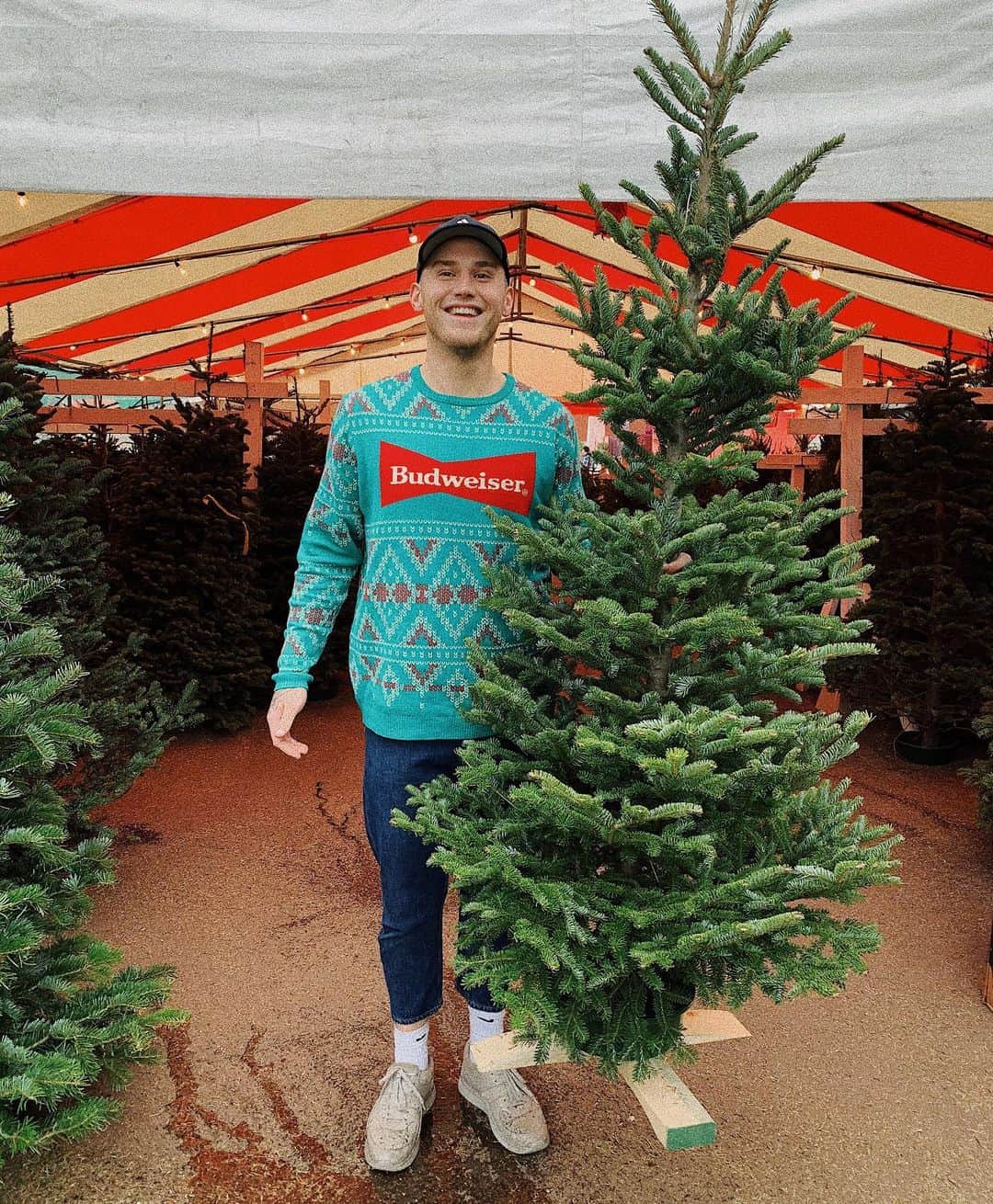 ブランドン・シェイアのインスタグラム：「I’d say I’m an incredible Christmas tree picker 😂 She’s just a little taller than me but there’s no animosity lol. Also you can snag one of these savage @budweiserusa Christmas sweaters in their online merch store/gift shop. CHRISTMAS IS IN 3 days y’all! Get in the holiday spirit! Love - B」