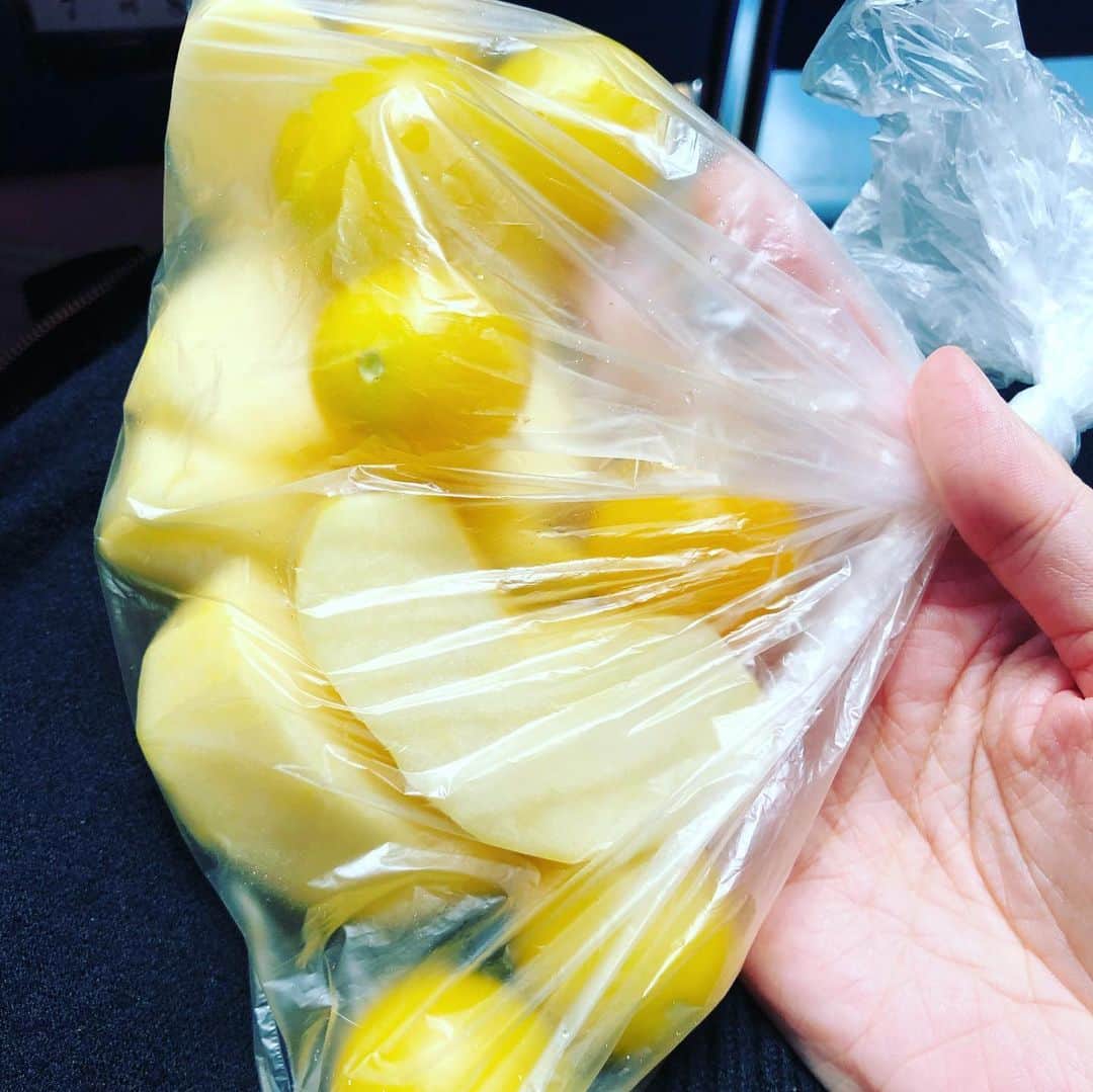 久保ミツロウのインスタグラム：「My lunch」