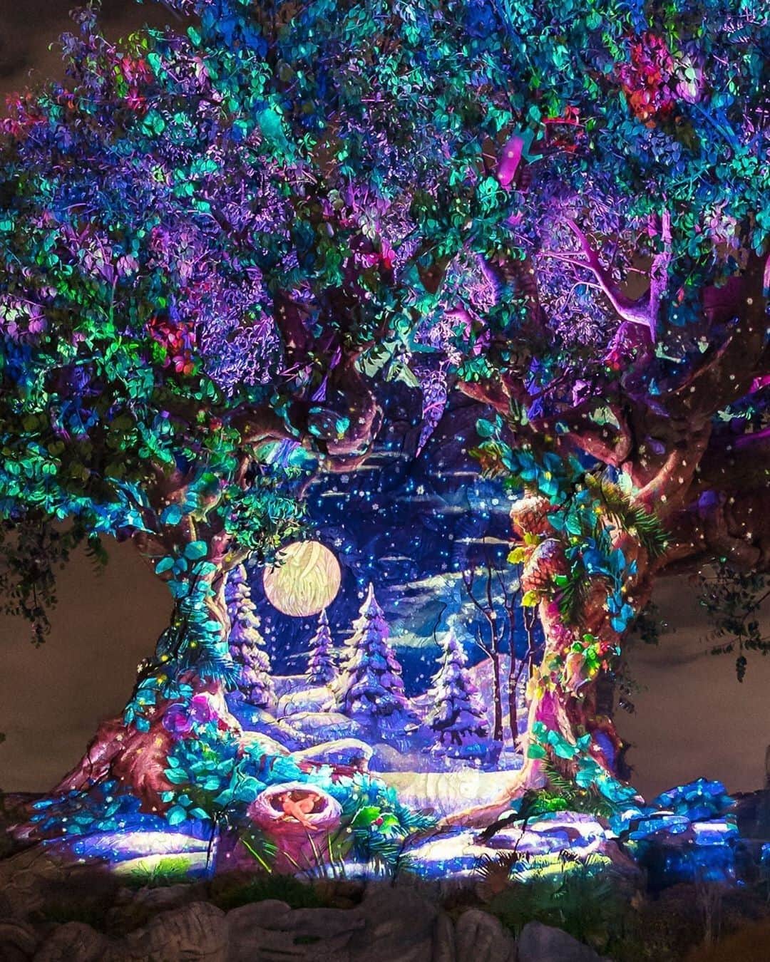 Walt Disney Worldのインスタグラム：「There's no better sight than a merry and bright Tree of Life. 😍🌳❄ #DisneyHolidays #DisneysAnimalKingdom (📷: @mapledisney)」