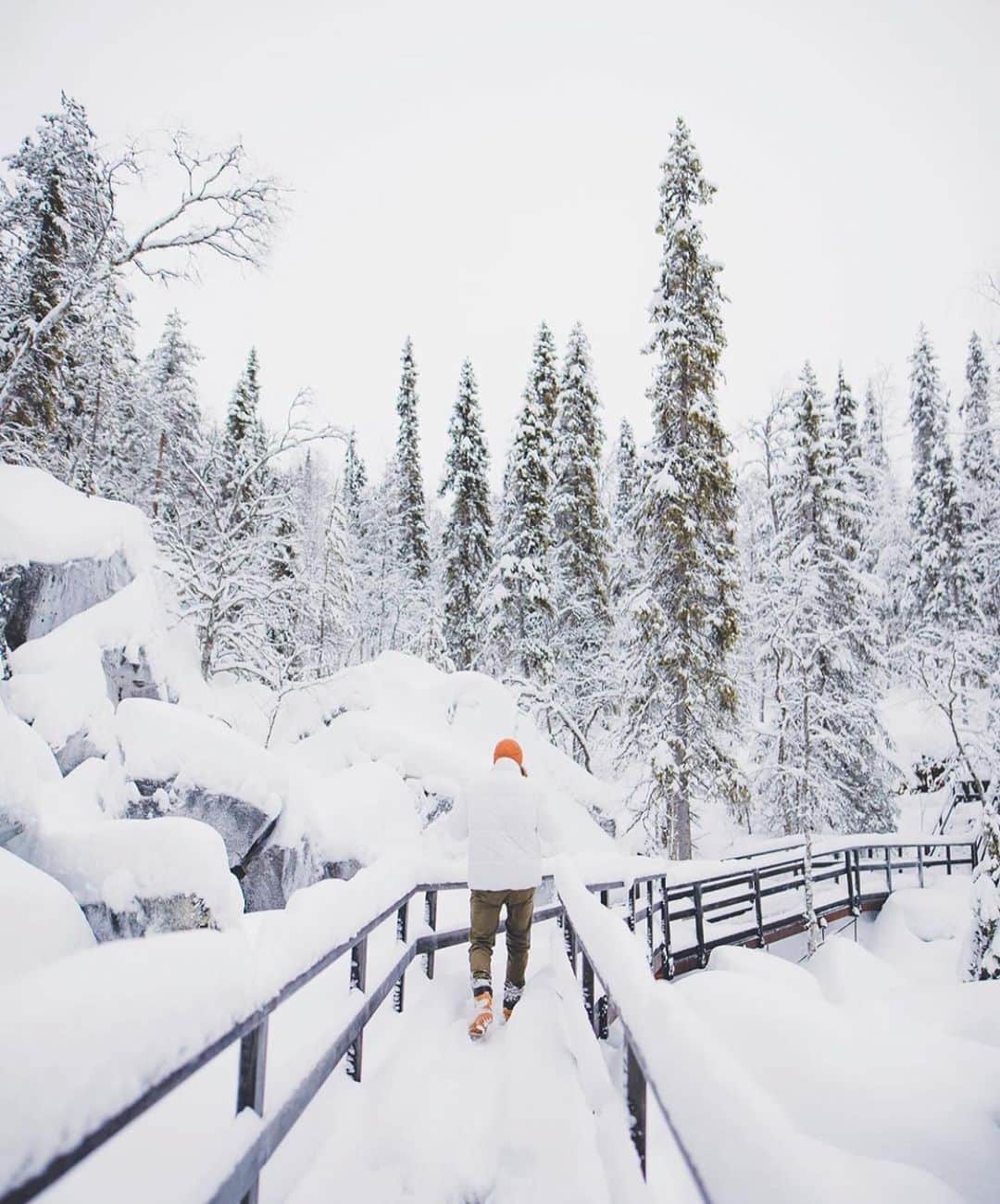 フィンランド政府観光局さんのインスタグラム写真 - (フィンランド政府観光局Instagram)「冬のワンダーランドをハイキングした後は、温かいホットチョコレートがいつもよりさらにありがたく思えますね。❄️☕️😊 ． @tonieskelinen さんの写真。Kiitos！」12月23日 4時29分 - visitfinlandjapan