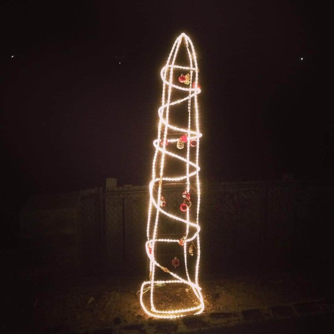 ジェシー・タイラー・ファーガソンさんのインスタグラム写真 - (ジェシー・タイラー・ファーガソンInstagram)「Remembering when my in-laws decided to decorate a tomato trellis. Had to break the news to them that it’s a Christmas Penis!」12月23日 4時54分 - jessetyler