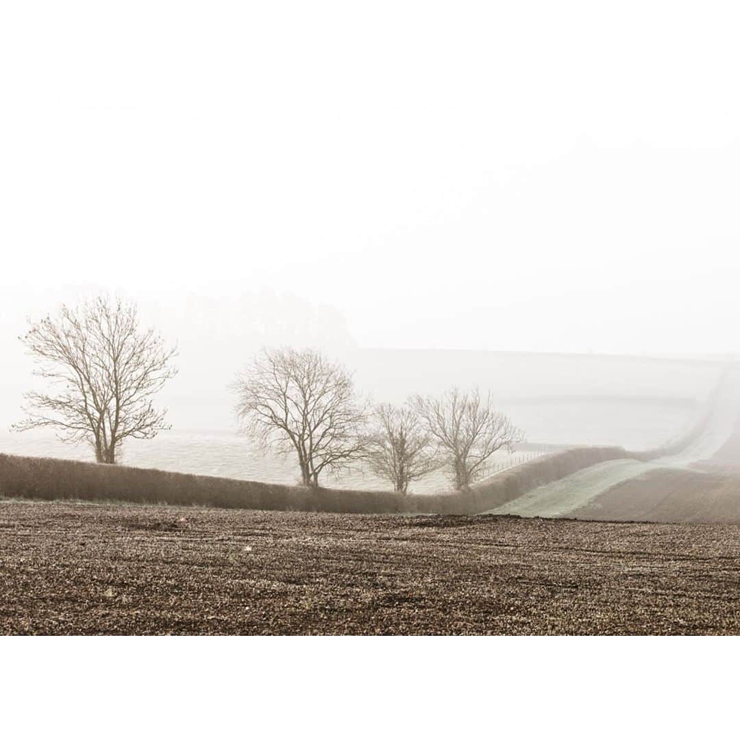 のインスタグラム：「Getting outside has countless benefits for our health: just being in nature has been shown to boost our energy levels. Combining a walk with a gratitude practice will flood your brain with mood-boosting endorphins and can help make you more productive. Walk for 10 minutes and list the things in your life you feel most grateful for 🌳 #gratitude #christmaswalk #nature」