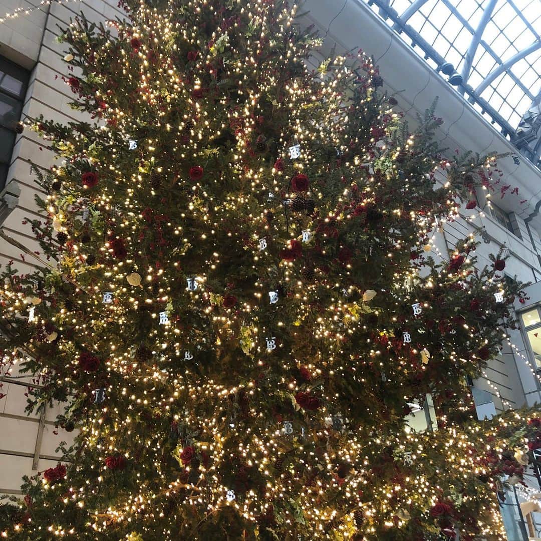 タピエスタイルのグルメインスタ