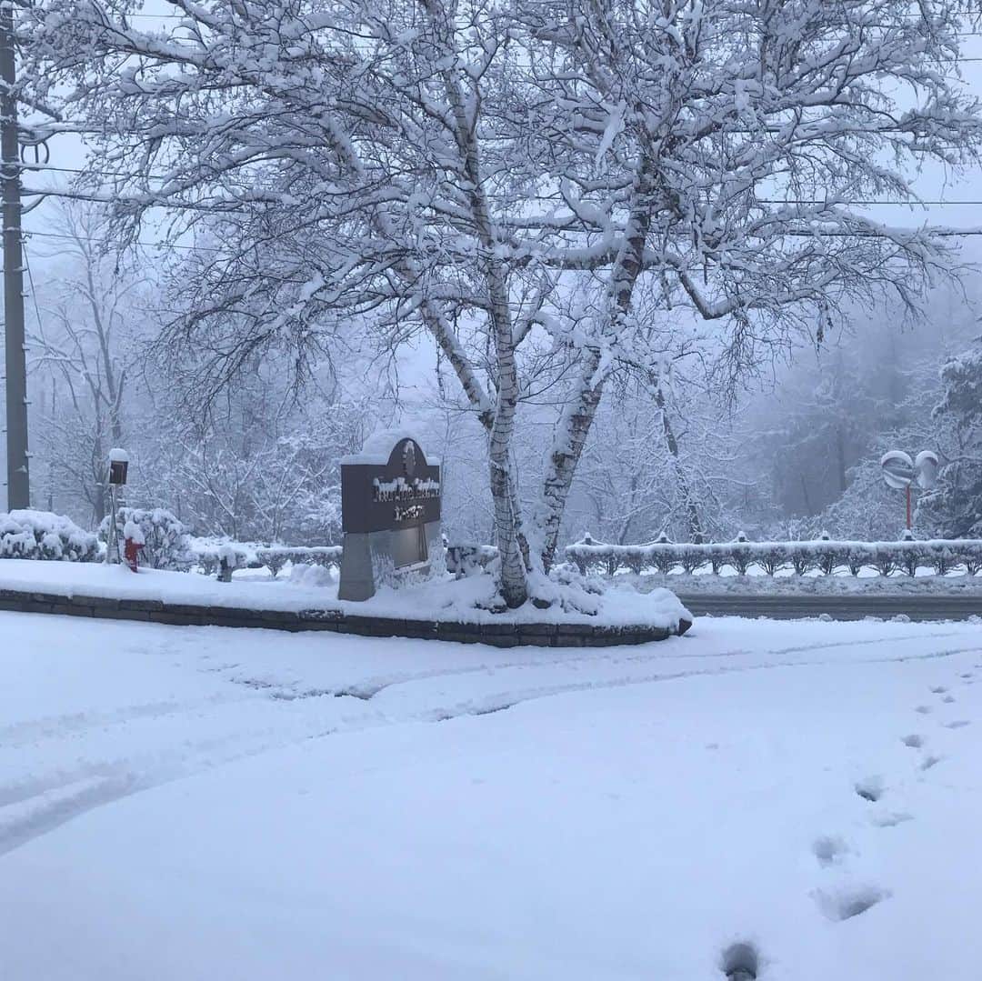 リゾートホテル蓼科さんのインスタグラム写真 - (リゾートホテル蓼科Instagram)「First snow fall in Tateshina @リゾートホテル蓼科(ホワイトクリスマス)white Christmas」12月23日 15時18分 - resort_tateshina