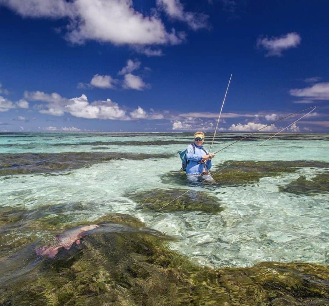 Costa Sunglassesのインスタグラム：「Pull the trigger. 📷: @captjackproductions @bradhyman #SeeWhatsOutThere #BornOnTheWater」
