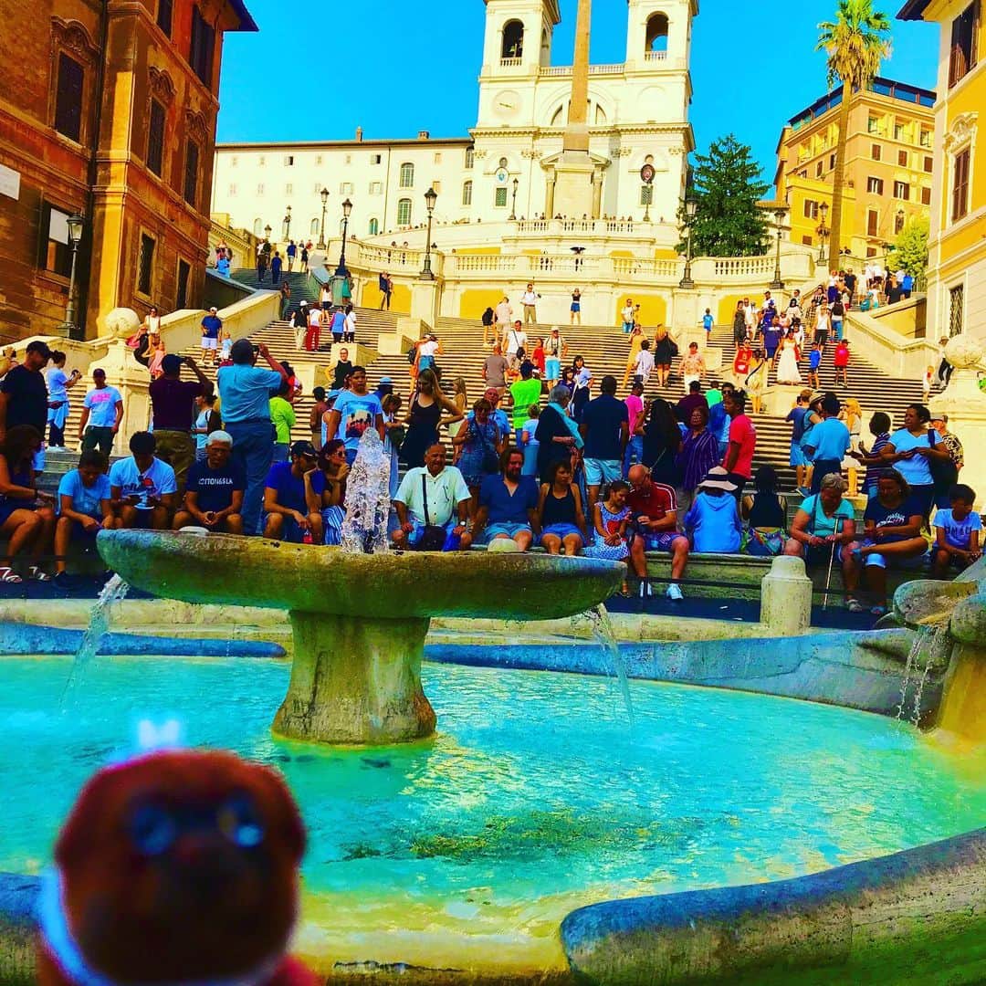 ころのインスタグラム：「ころツーリスト in #イタリア (#ローマ ) .  おはようございます☀ . オードリーペップバーン主演映画、ローマの休日で有名になったスペイン広場の大階段😊 . 下からと上からのアングルでお楽しみ下さい😄 . ここでジェラートさえ食べればあなたも気分はオードリーになれちゃうかも☺️ . ころの他の写真を見たい方はこちらから！  @koro.dottokoi .  #ころツーリスト #旅 #旅日記 #旅スタグラム #旅すたぐらむ #トラベラー #旅に出たい #旅の記録 #旅好き #旅写真 #旅行好き #旅したくなるフォト #旅フォト #マイトリ #旅行大好き #わんこ #ぬいぐるみ #ぬいどり #ぬい撮り写真部 #マイトリップ #旅の思い出 #旅の思い出 #ぬい撮り #ぬい撮りさんと繋がりたい #ぬいすたぐらむ」