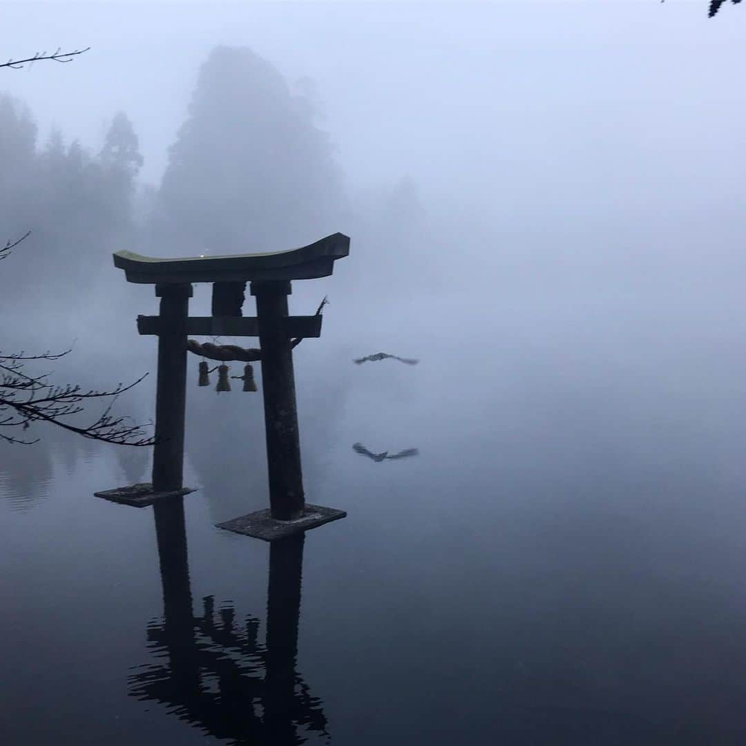 大川佑のインスタグラム：「湖畔の鳥居と鷺。 #金鱗湖 #朝霧」