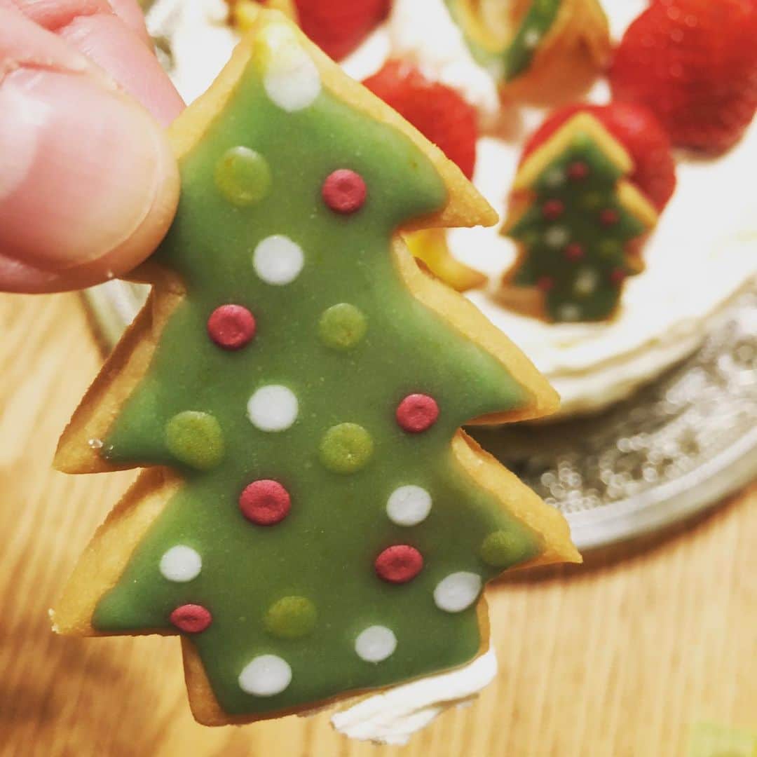 木下あゆ美さんのインスタグラム写真 - (木下あゆ美Instagram)「忙しい！…とか言いながら、子供達はパパに任せてちゃっかりクリスマスケーキ🎂は手作りするというw 息子達がやたら気に入ってるアイシングクッキーと共に… #息子達はクッキーだけ食べる #久々の集中時間 #アイシングクッキー #早めのクリスマスパーティー」12月23日 9時26分 - ayumi_kinoshita13121982
