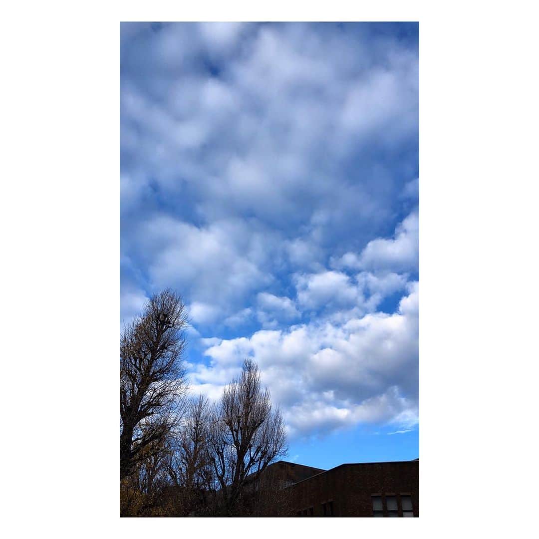 理絵さんのインスタグラム写真 - (理絵Instagram)「☁️☁️☁️ .  #雲 #空 #sky #cielo #하늘 #cloud #nuvola #구름 #tokyo #japan」12月23日 9時32分 - ____rie____